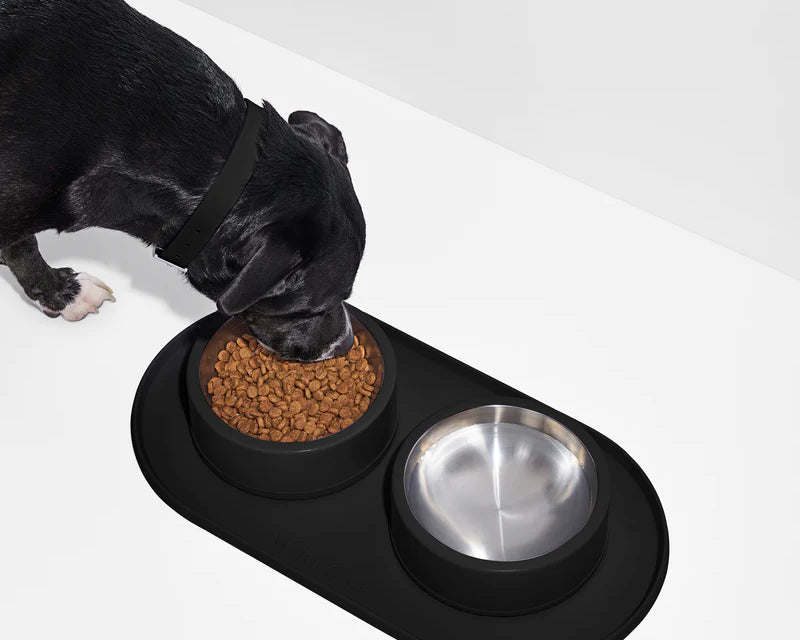 Wild One Placemat for Dogs, fourth view, a black dog eating from bowls on the black placemat