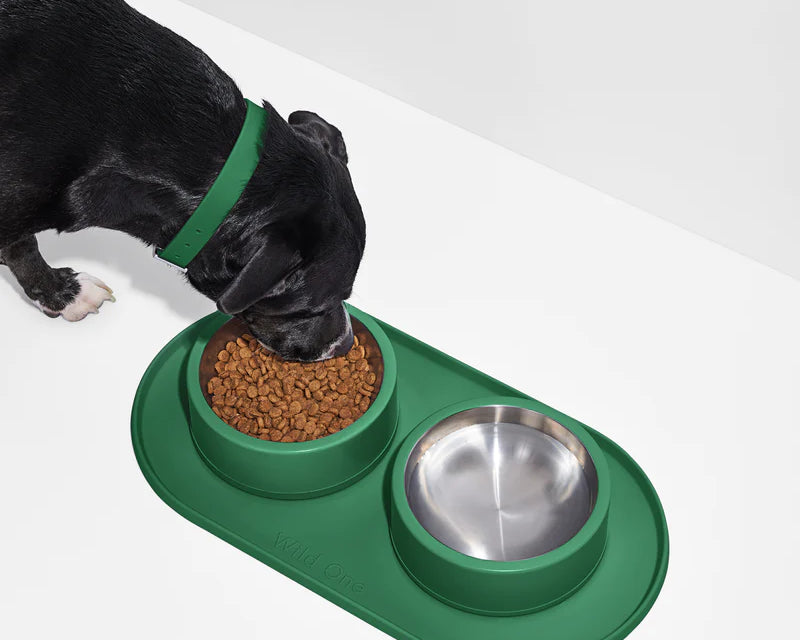 Wild One Placemat for Dogs, sixth view, a black dog eating from bowls on the spruce placemat