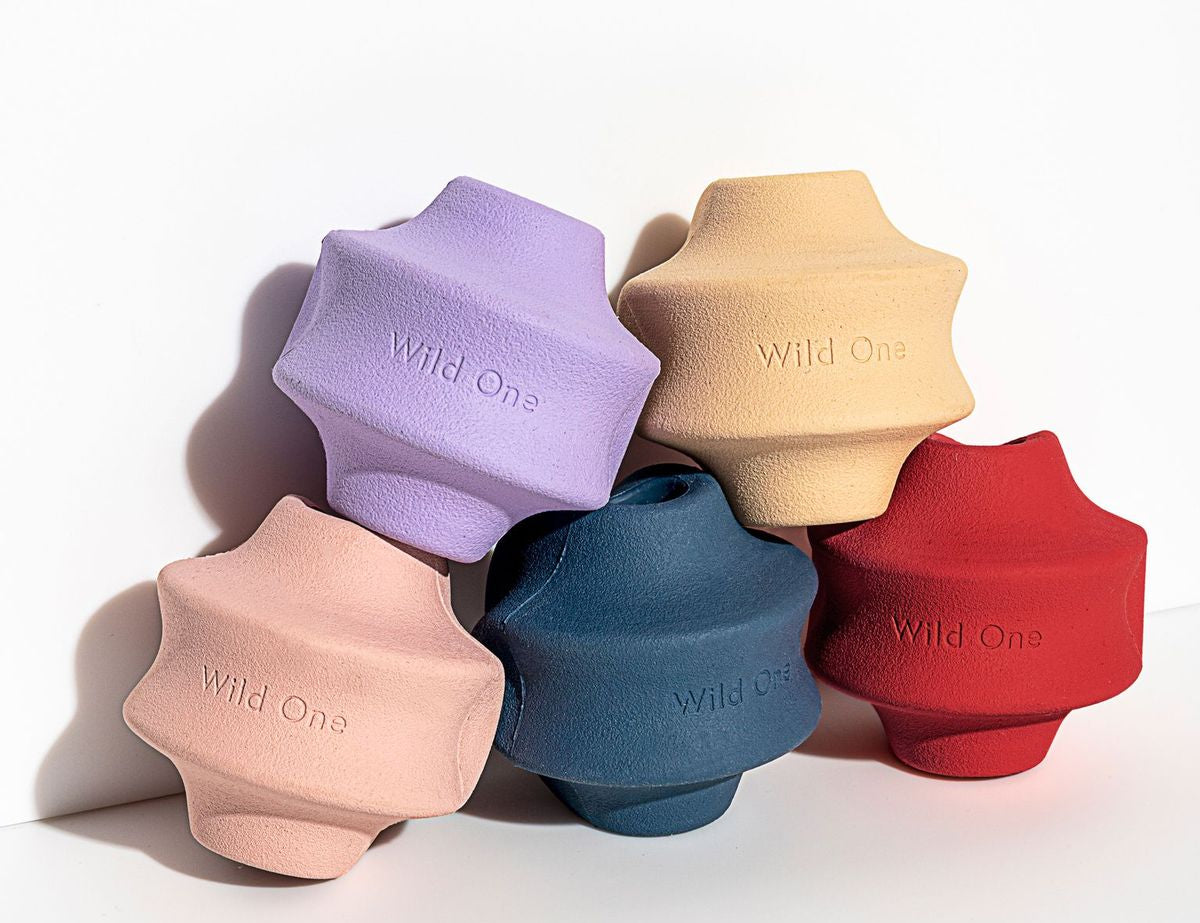 Wild One Twist Toss Dog Toys in lilac, tan, blush, navy, red and moonstone grouped together