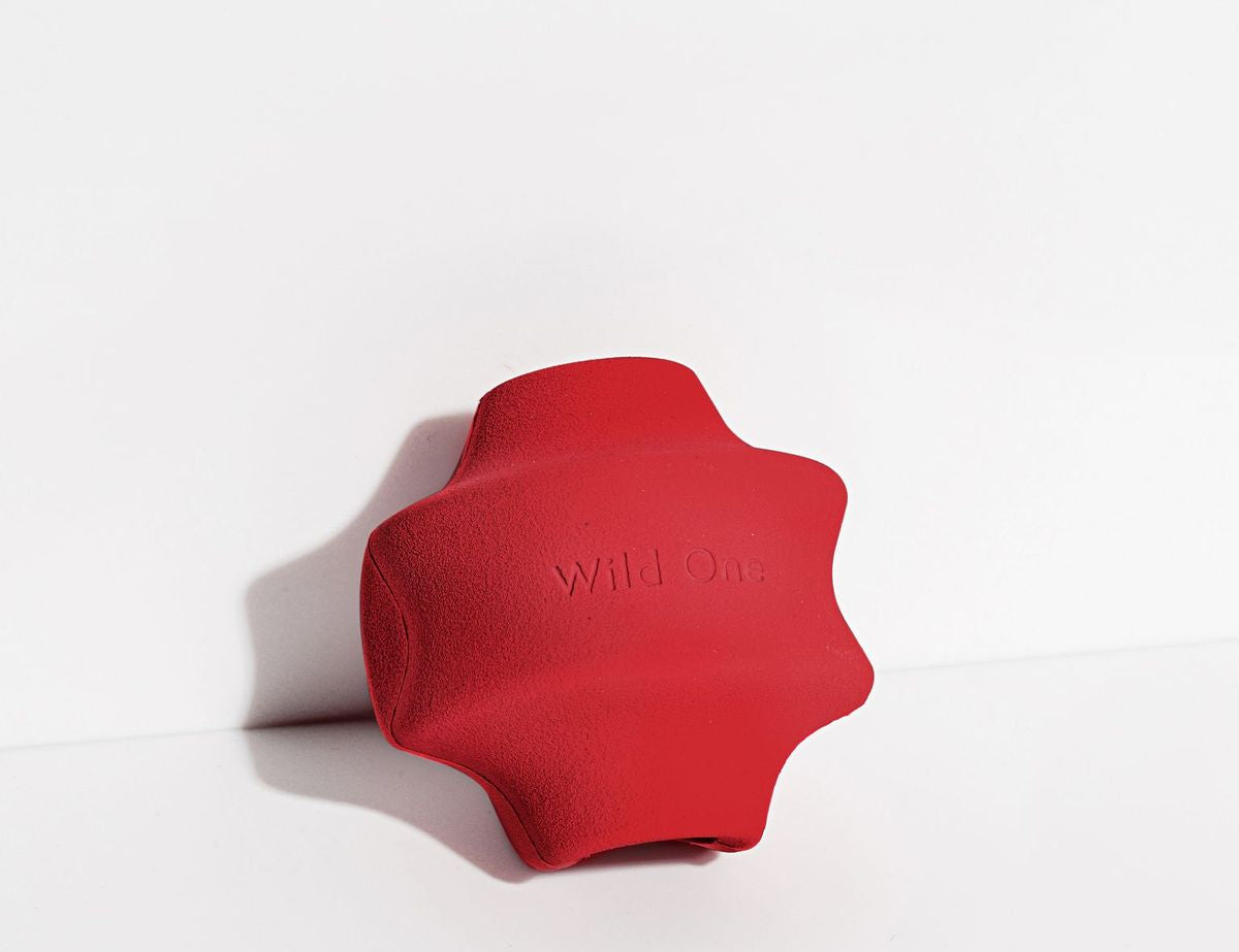Wild One Twist Toss Dog Toy in Strawberry, a red rubber twisted treat toy
